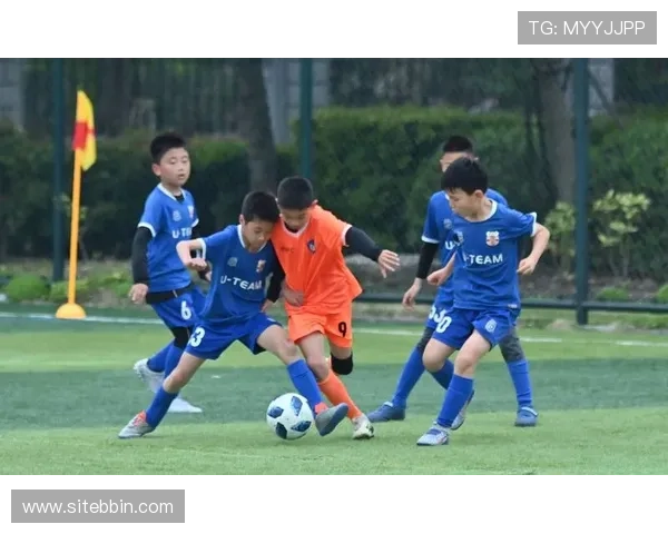 bbin体育足球app下载官方最新版，轻松体验极速足球赛事直播与精彩赛事回放