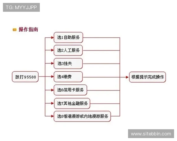 bbin直营网站客服电话号码及联系方式的完整查询流程