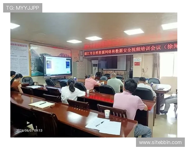 如何识别官方BBIN网址避免钓鱼网站风险