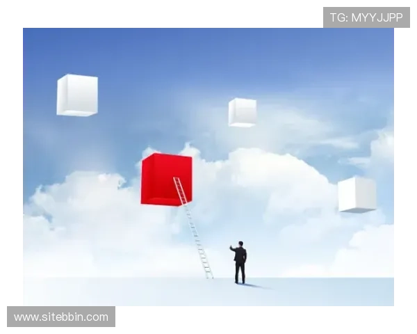 宝盈集团旗下公司在国际市场的扩展策略与合作伙伴关系